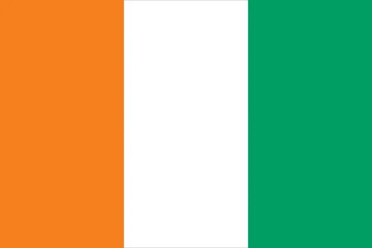 A vertical tricolor flag with orange on the left, white in the center, and green on the right.